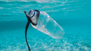 Plastic PET bottle in the ocean